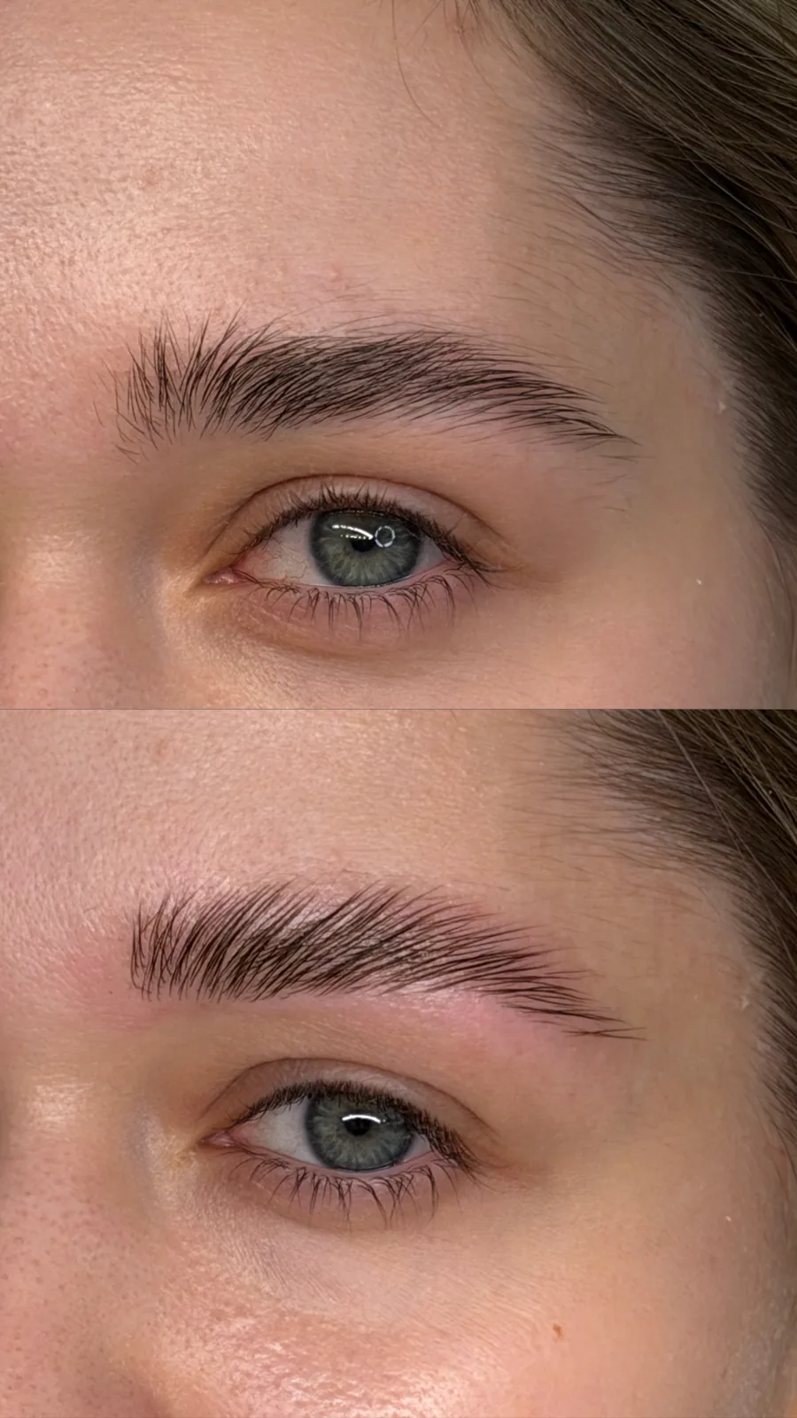 Laminated and tinted brows, healed result